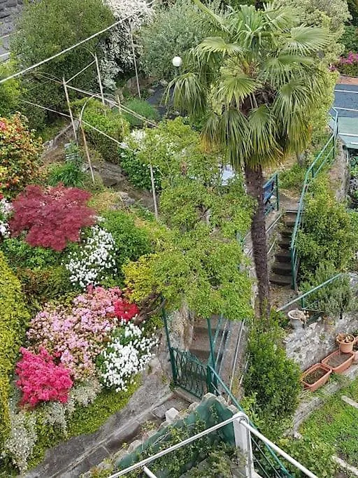 דירות דרביו Lucio&Pina House